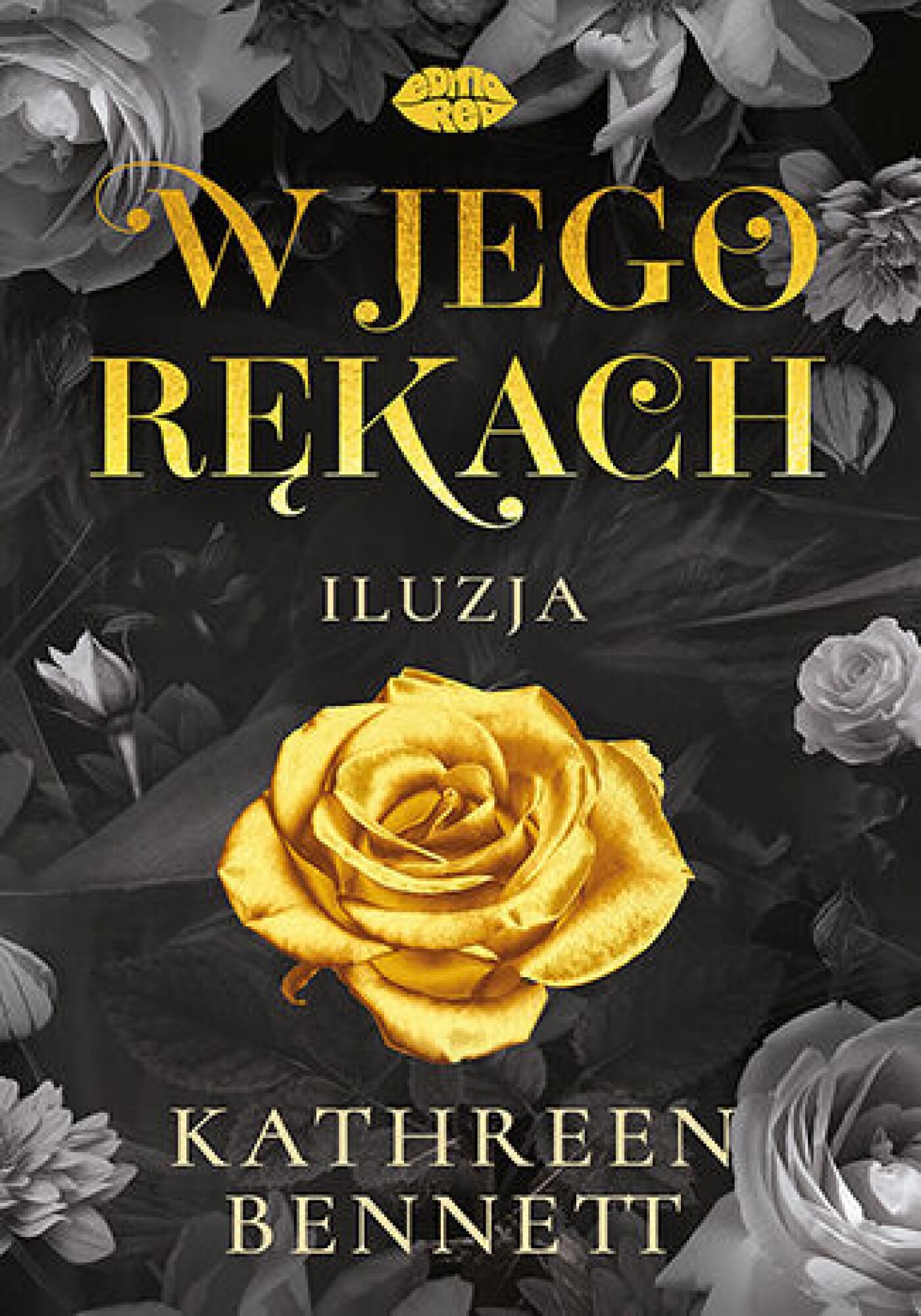 W jego rękach. Iluzja (e-book)