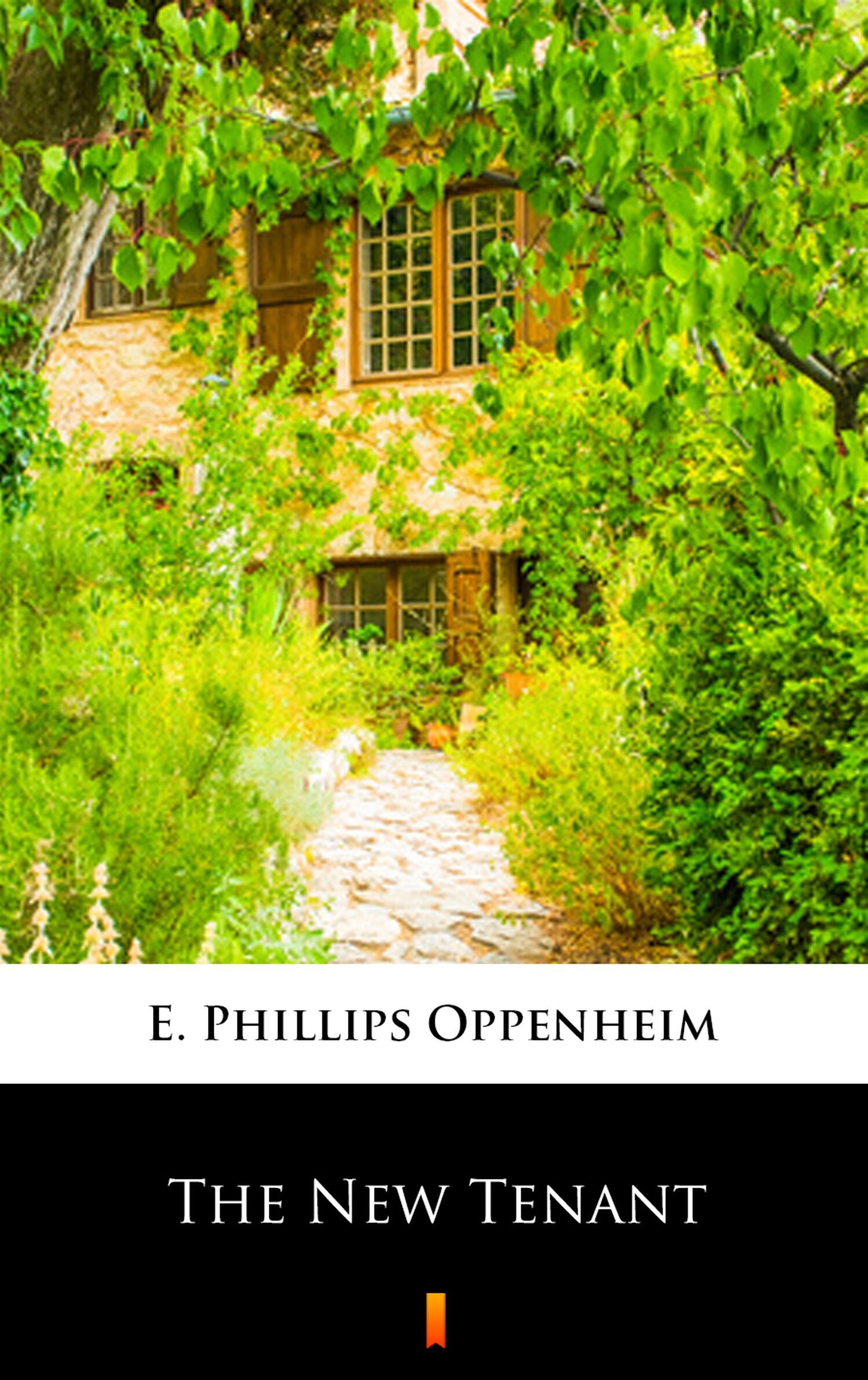 The New Tenant (e-book)