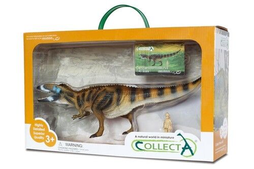 Collecta Karcharodontozaur Deluxe