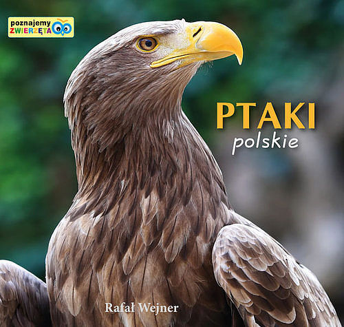 Ptaki polskie