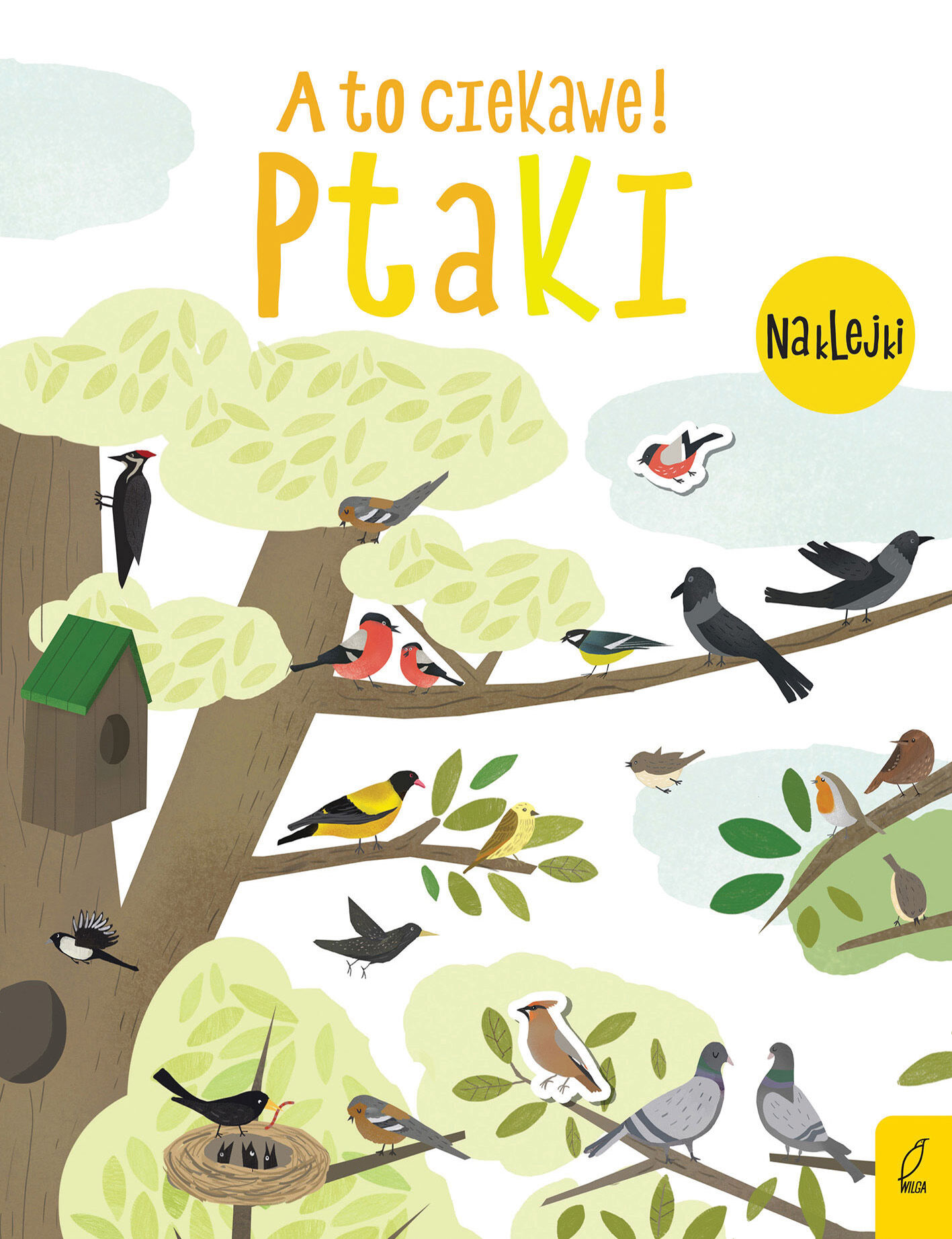 A to ciekawe! Ptaki