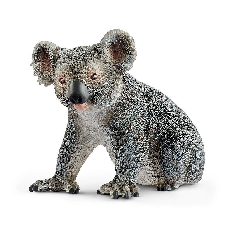 Miś koala slh14815