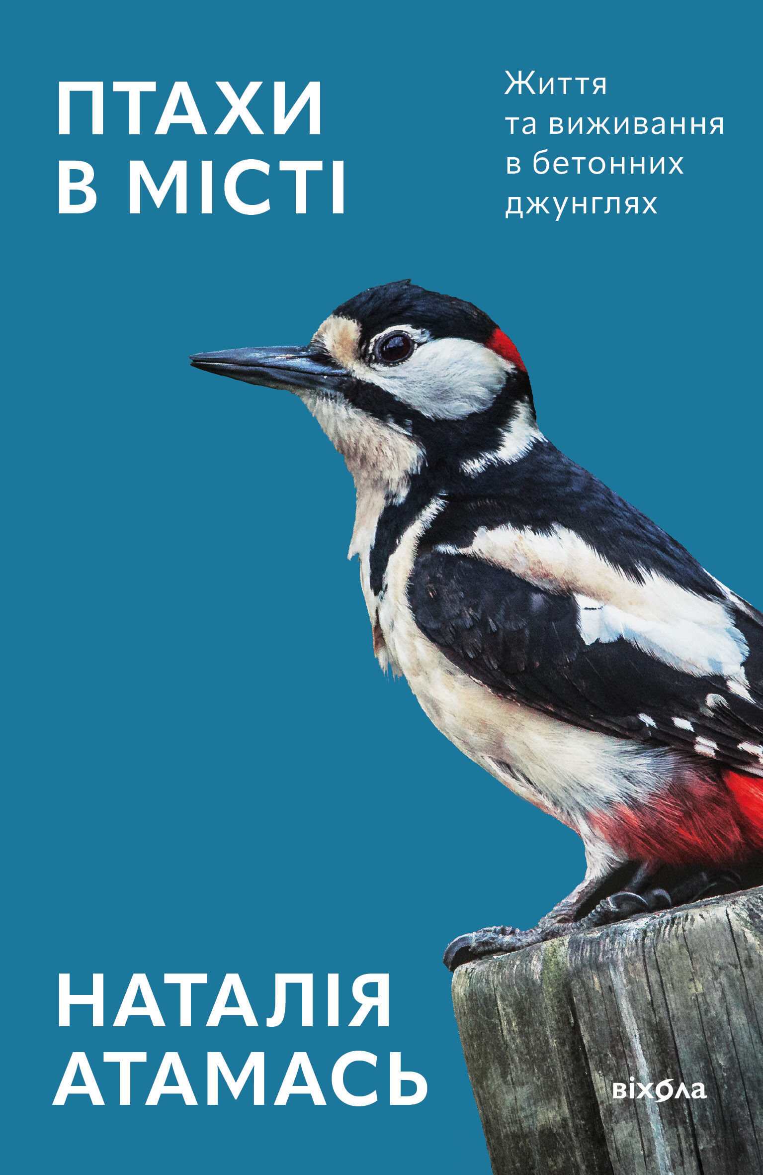 Птахи в місті (e-book)