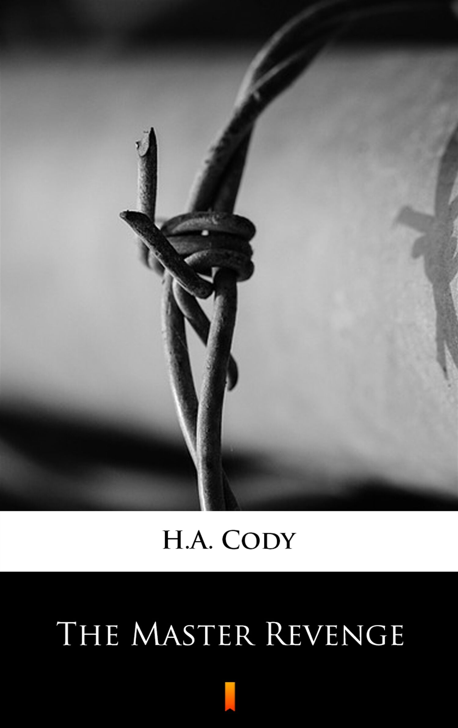 The Master Revenge (e-book)