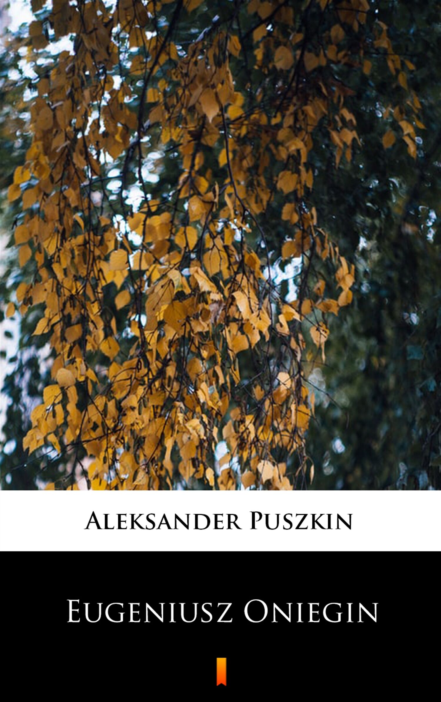 Eugeniusz Oniegin (e-book)