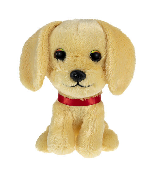 Lumo Golden retriever Molly classic
