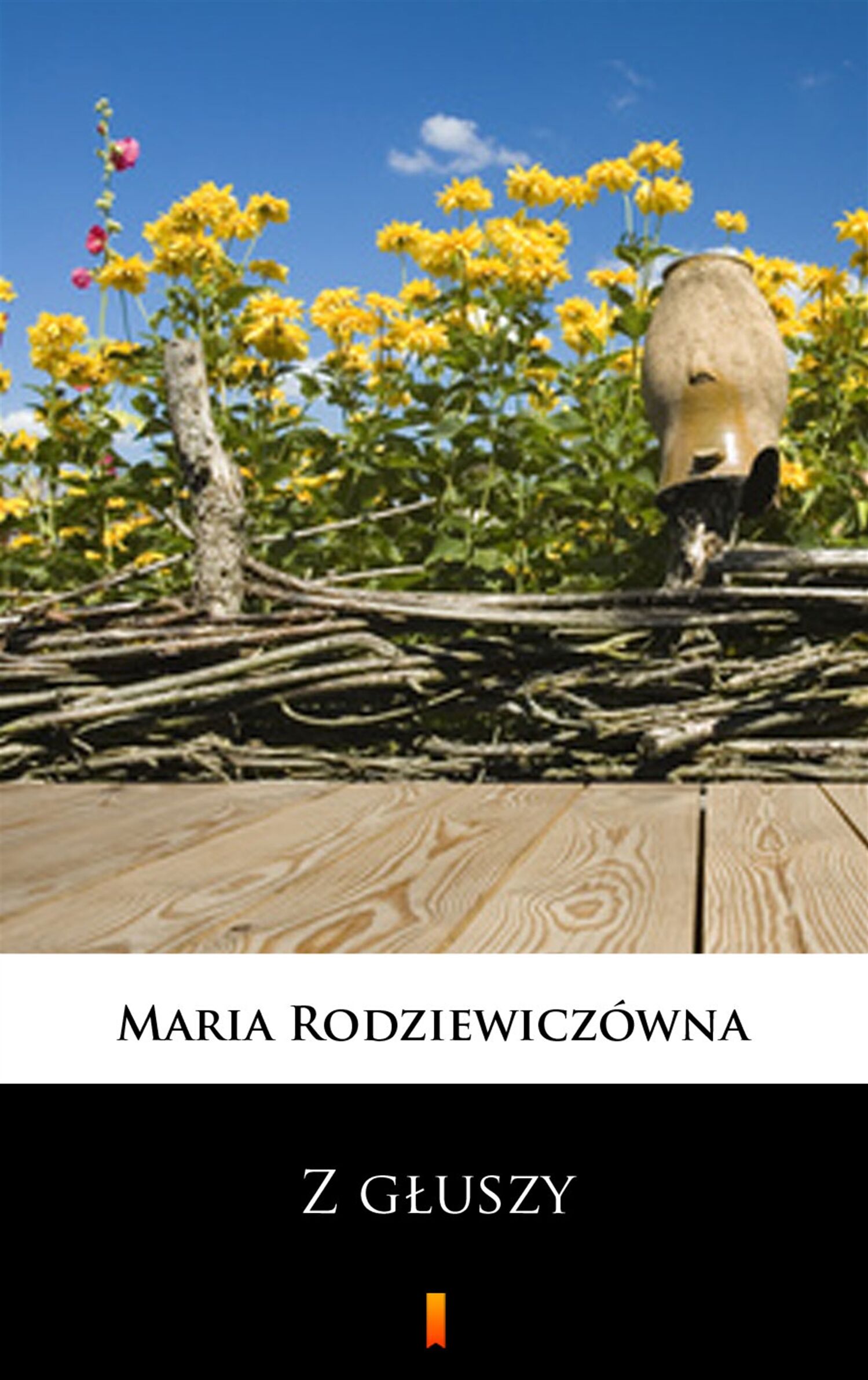 Z głuszy (e-book)