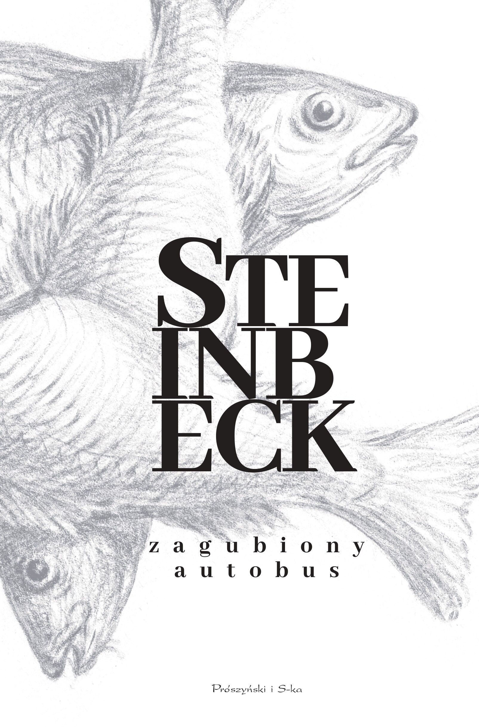 Zagubiony autobus (e-book)
