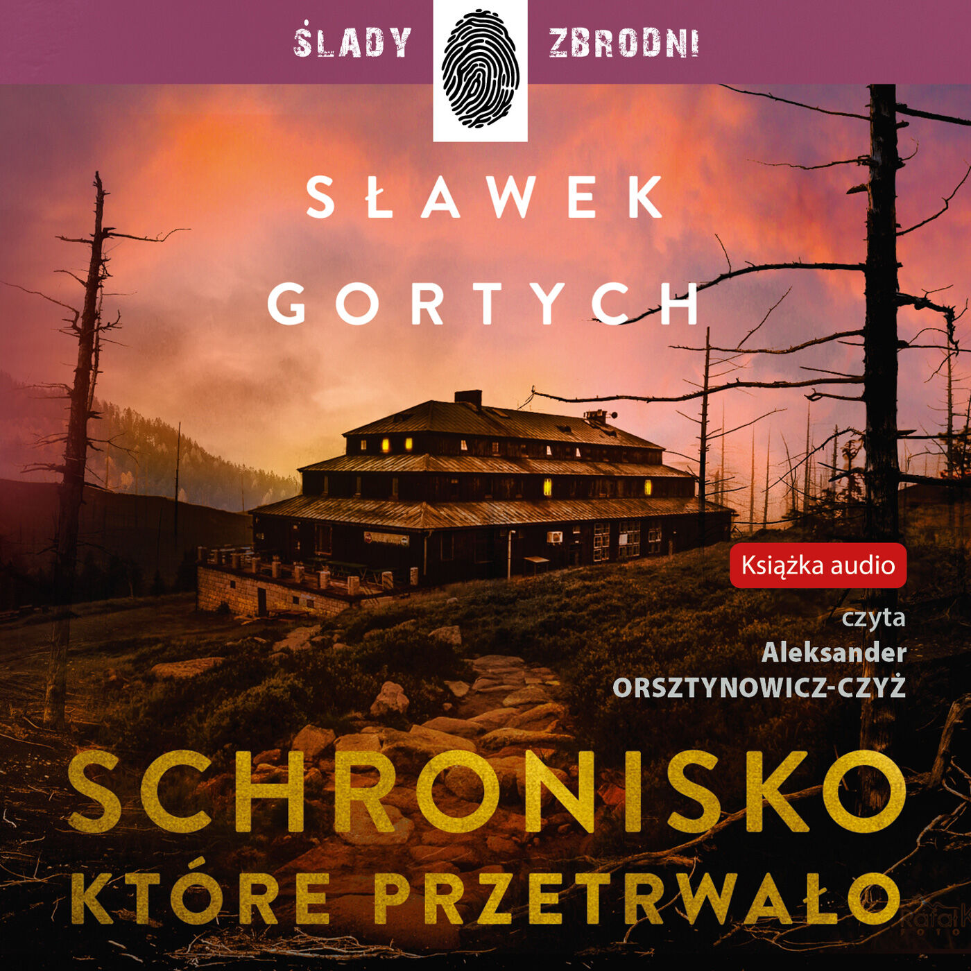 Schronisko, które przetrwało (audiobook MP3)