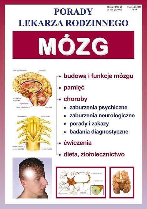 Mózg porady lekarza rodzinnego