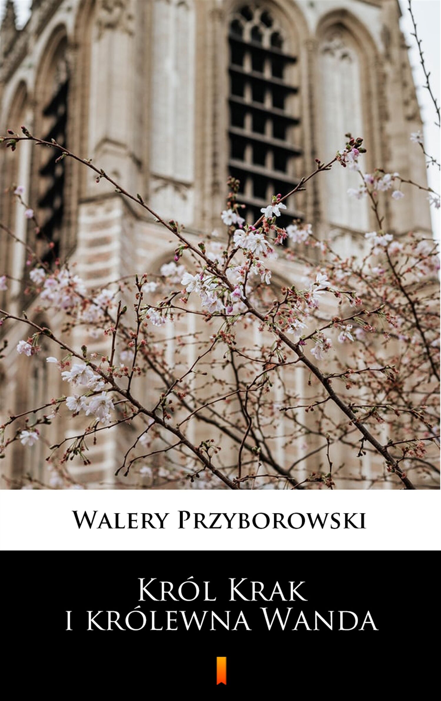 Król Krak i królewna Wanda (e-book)