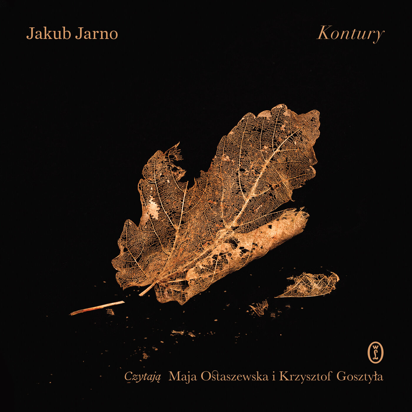 Kontury (audiobook MP3)