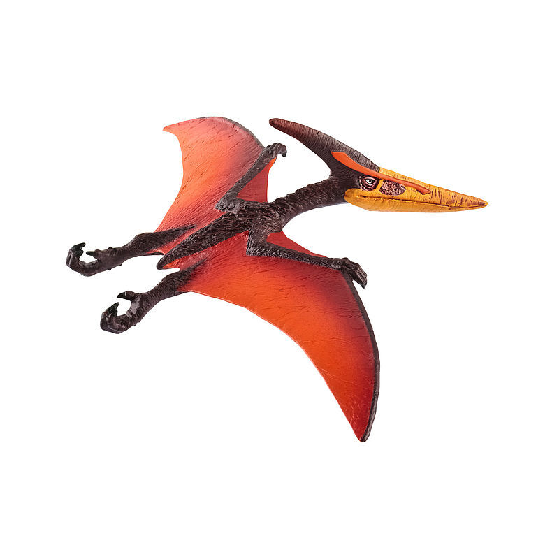 Pteranodon slh15008