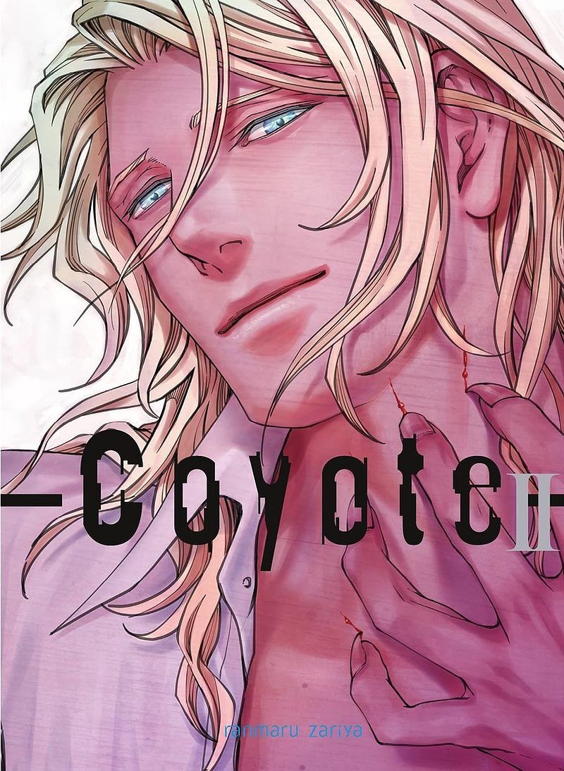 Coyote - 02