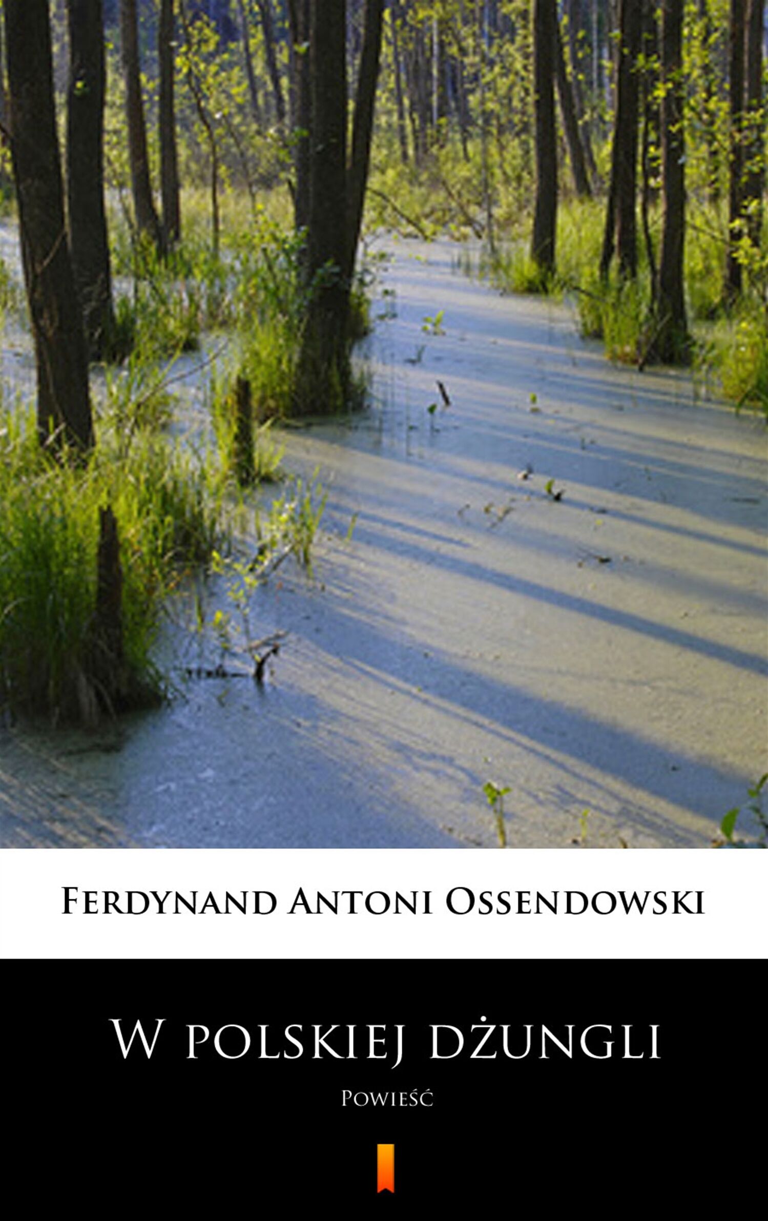 W polskiej dżungli (e-book)