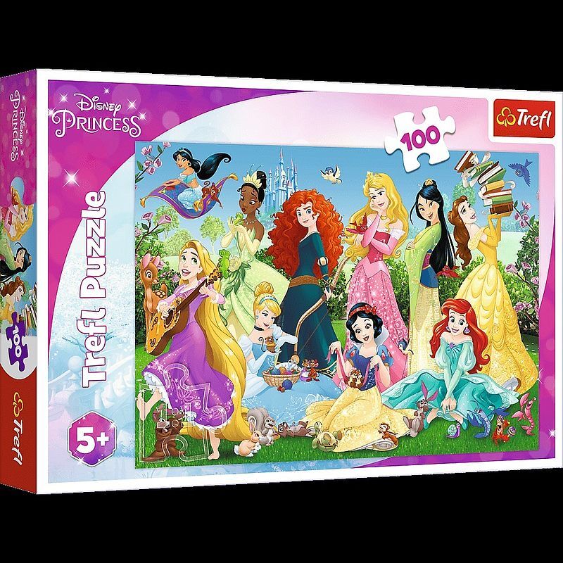 Puzzle 100 Czarujące Księżniczki