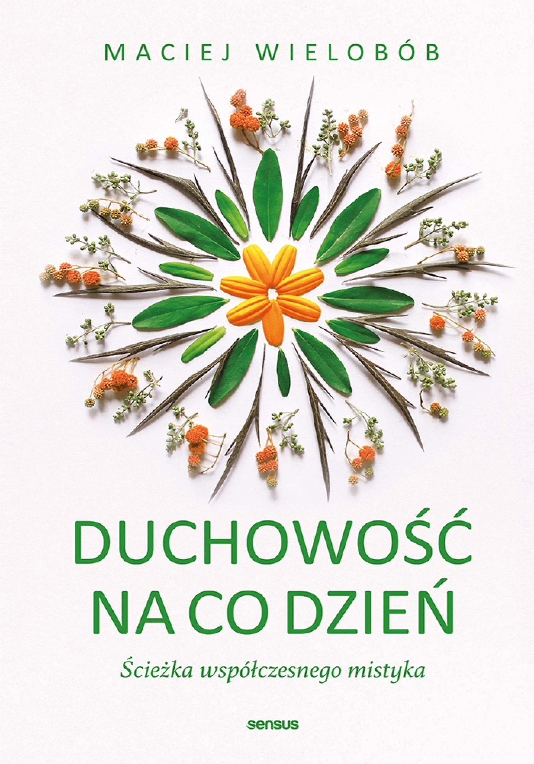Duchowość na co dzień. Ścieżka współczesnego mistyka (e-book)