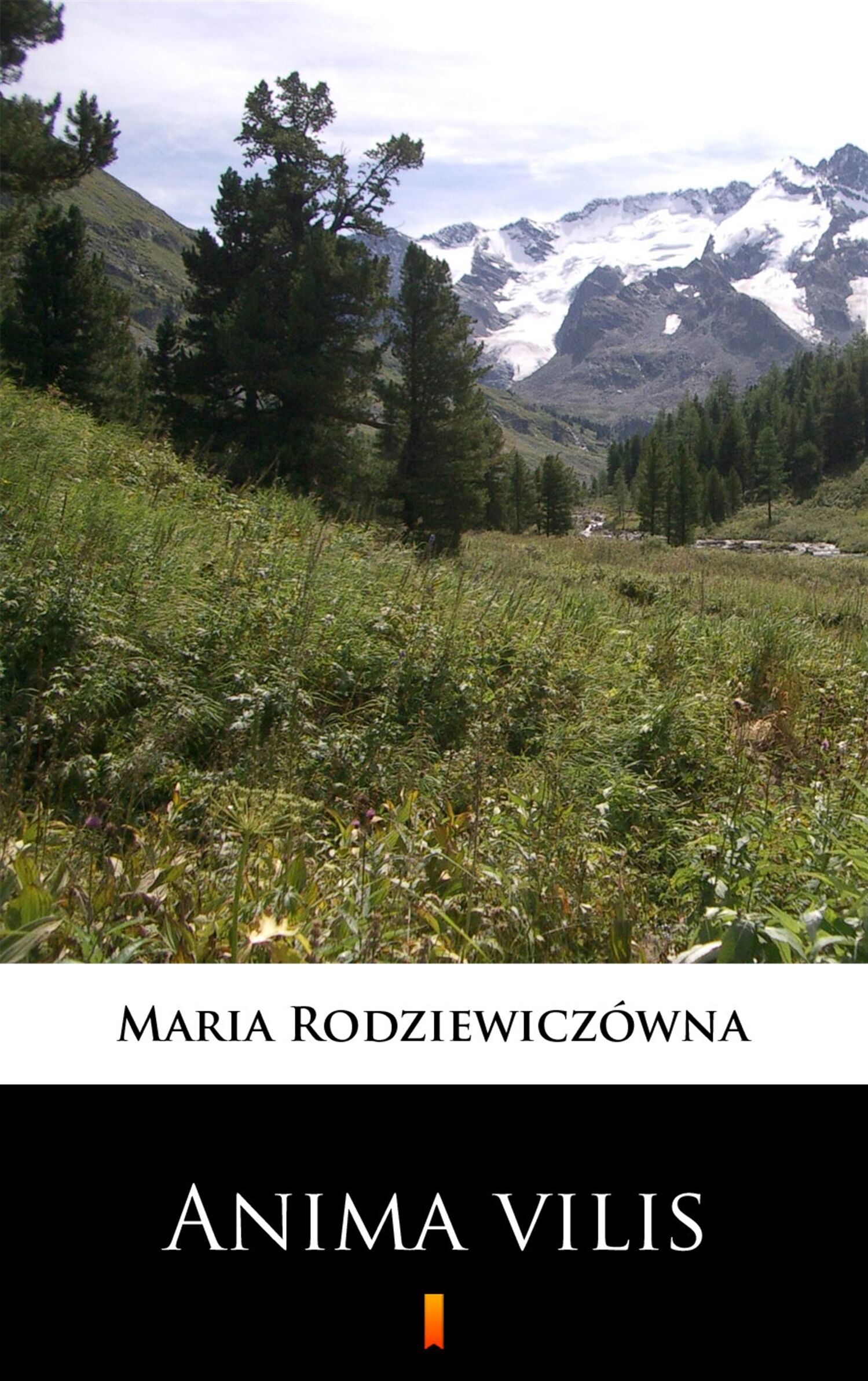 Anima vilis (e-book)