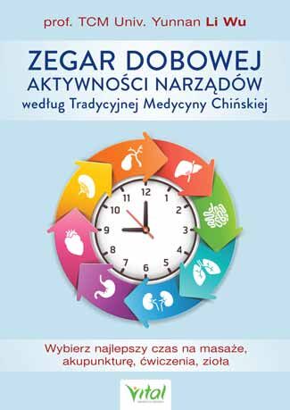 Zegar dobowej aktywności narządów według tradycyjnej medycyny chińskiej wybierz najlepszy czas na masaże akupunkturę ćwiczenia zioła