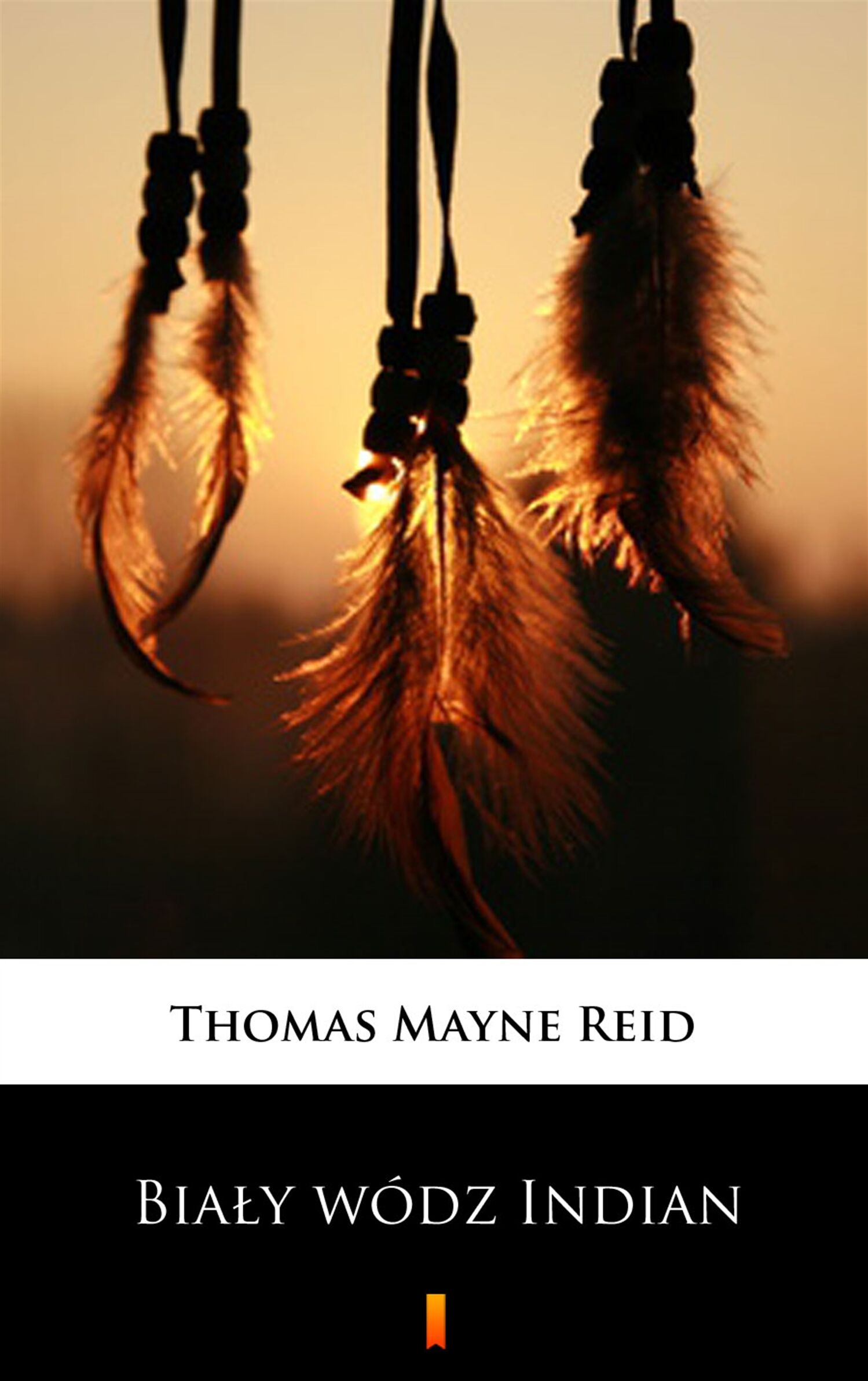Biały wódz Indian (e-book)