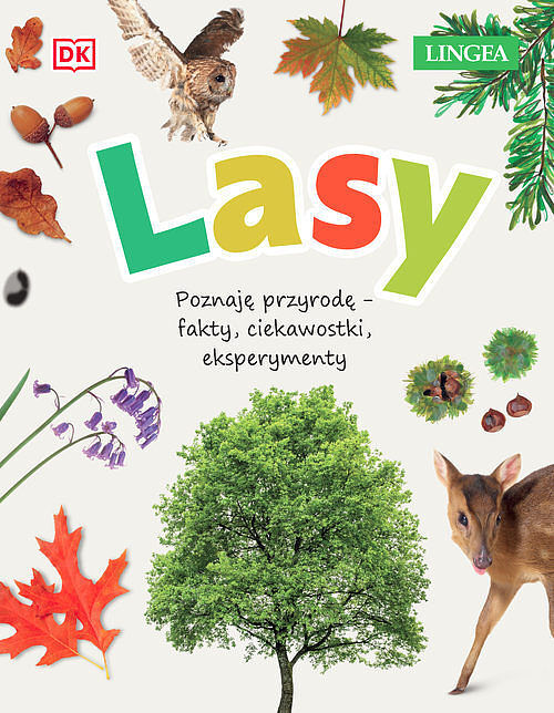 Lasy