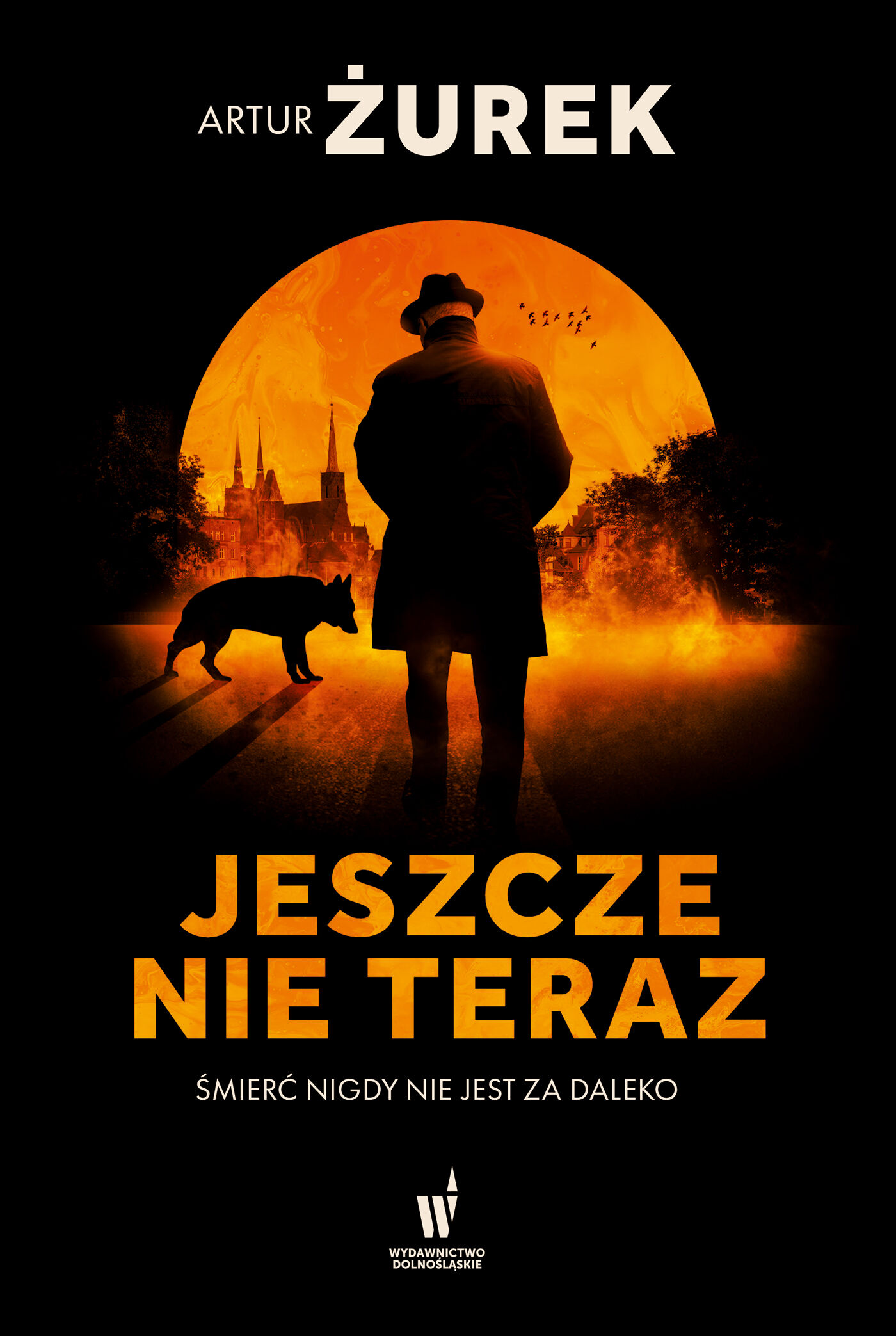 Jeszcze nie teraz (e-book)