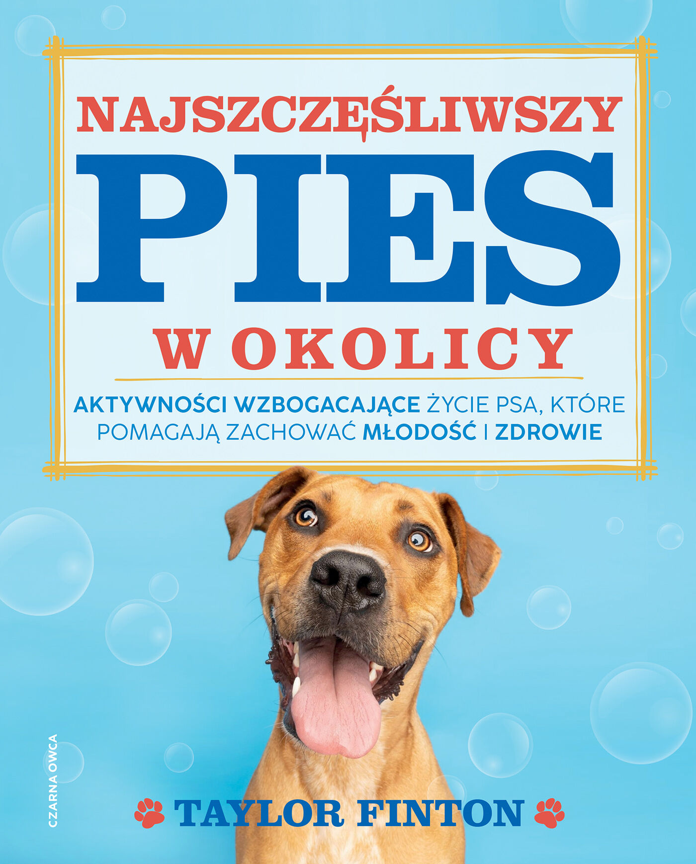Najszczęśliwszy pies w okolicy (e-book)