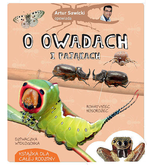 Artur sawicki opowiada o owadach i pająkach