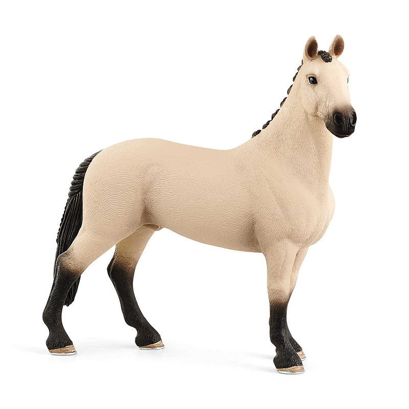 Koń wałach rasy hanoverian red dun slh13928
