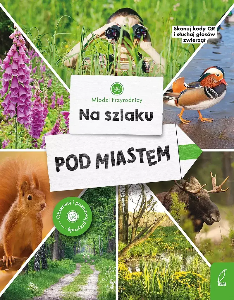 Młodzi przyrodnicy. Na szlaku. Pod miastem