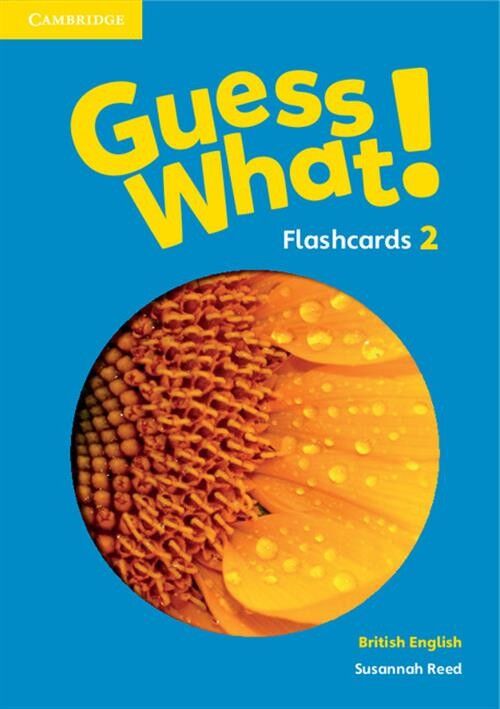 Guess What! 2 Flashcards