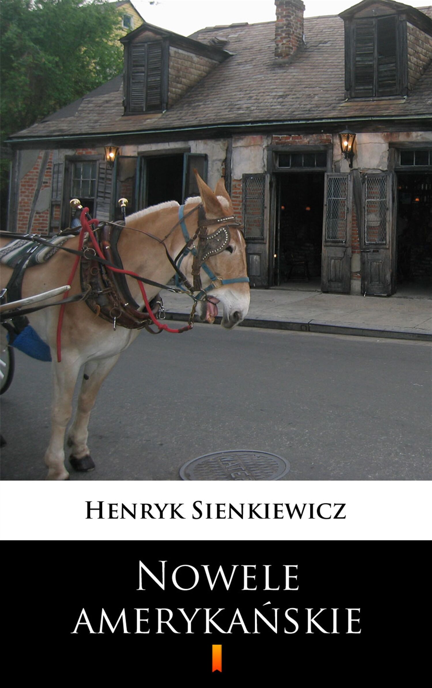 Nowele amerykańskie (e-book)