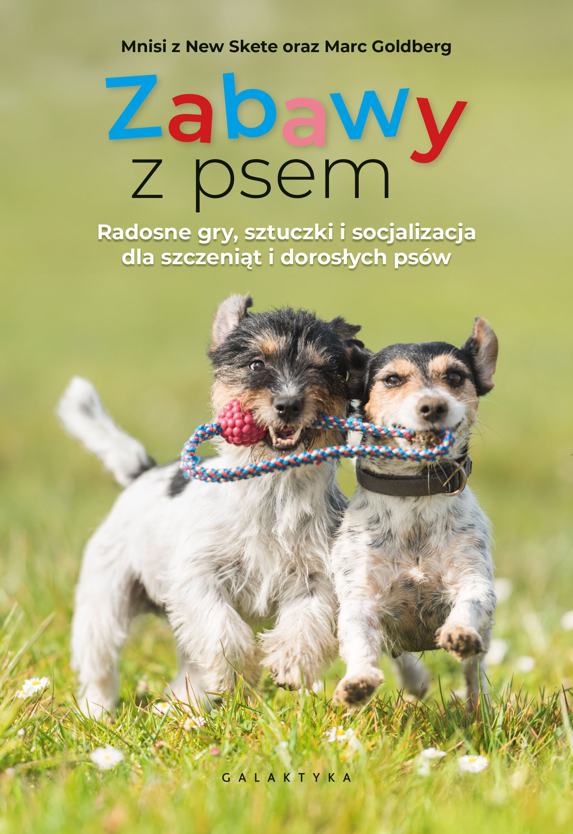 Zabawy z psem