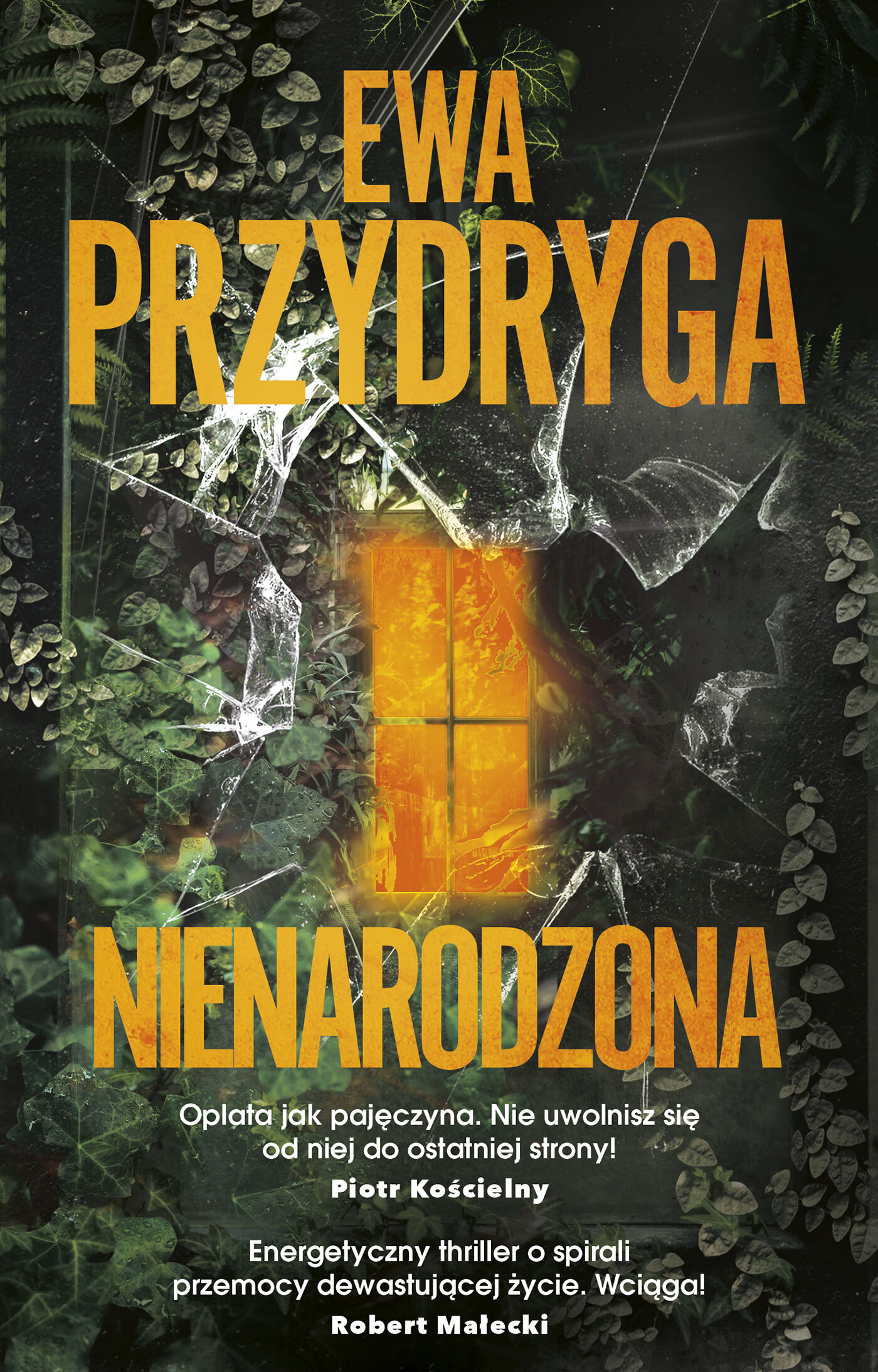 Nienarodzona (e-book)