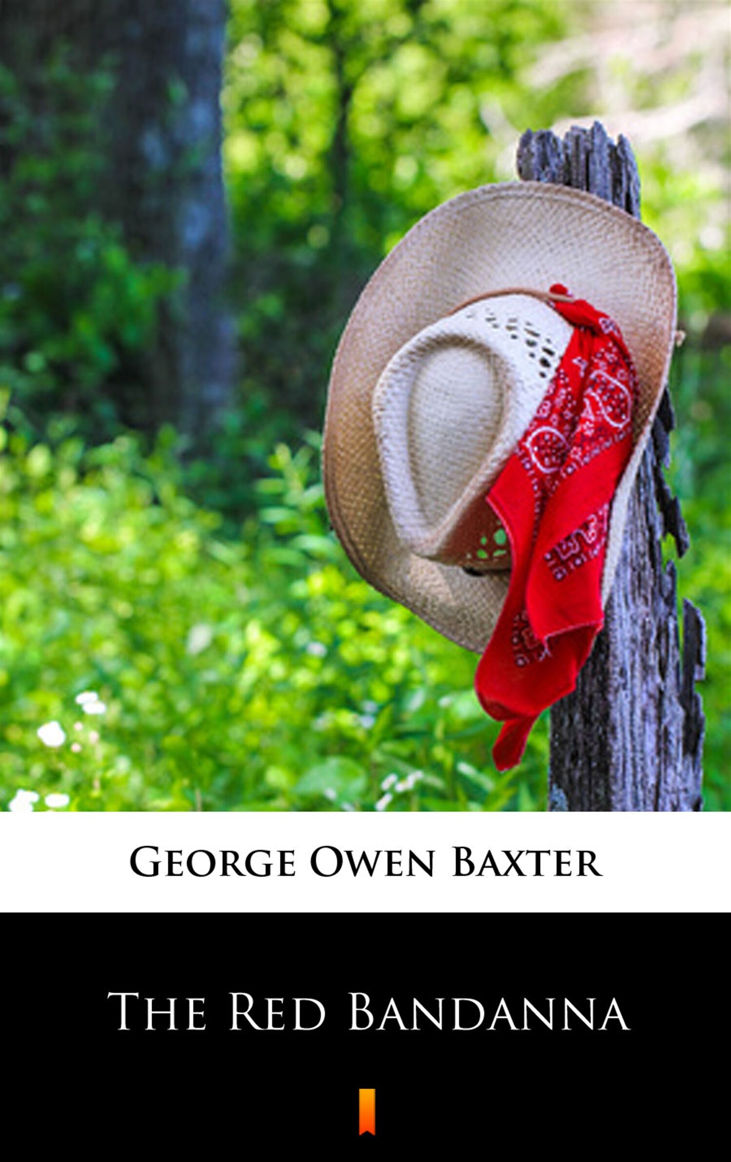 The Red Bandanna (e-book)