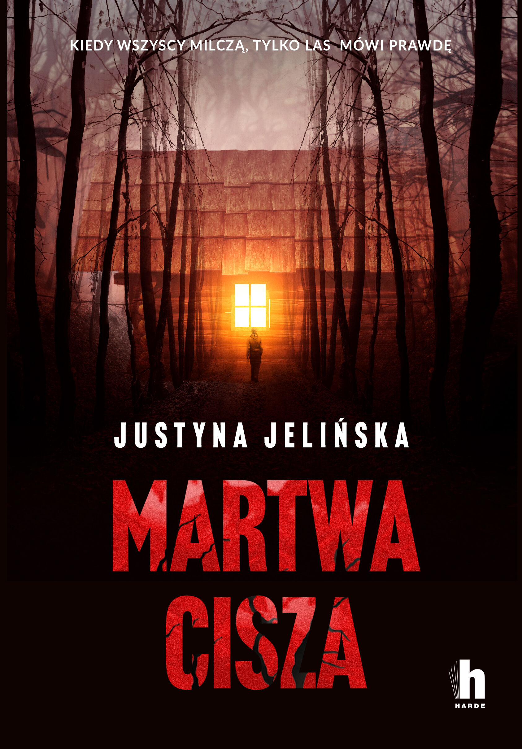 Martwa cisza (e-book)