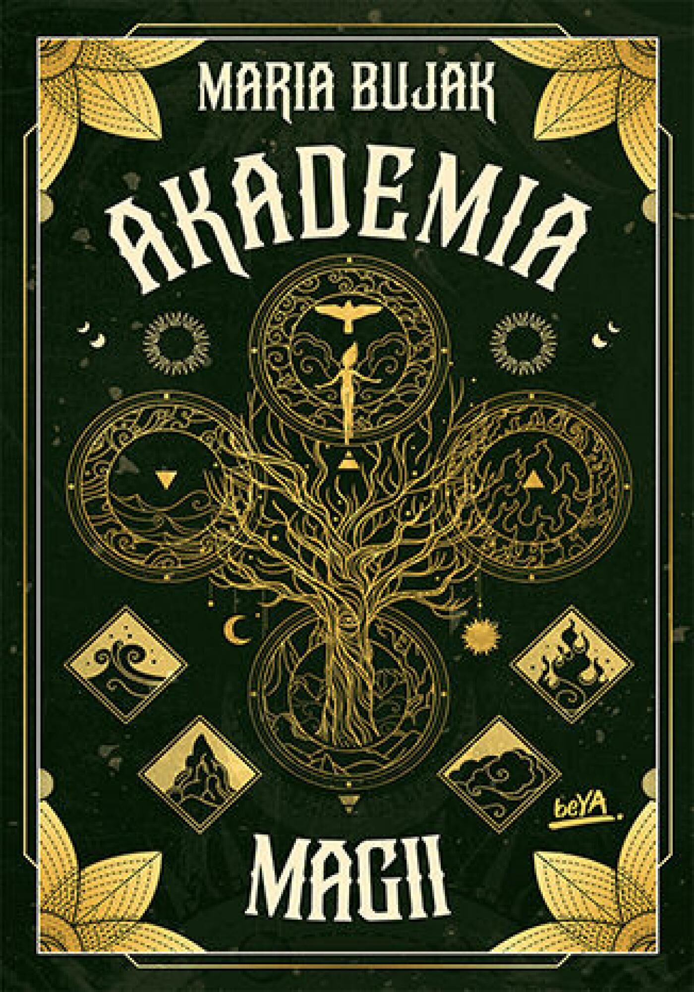 Akademia magii (e-book)