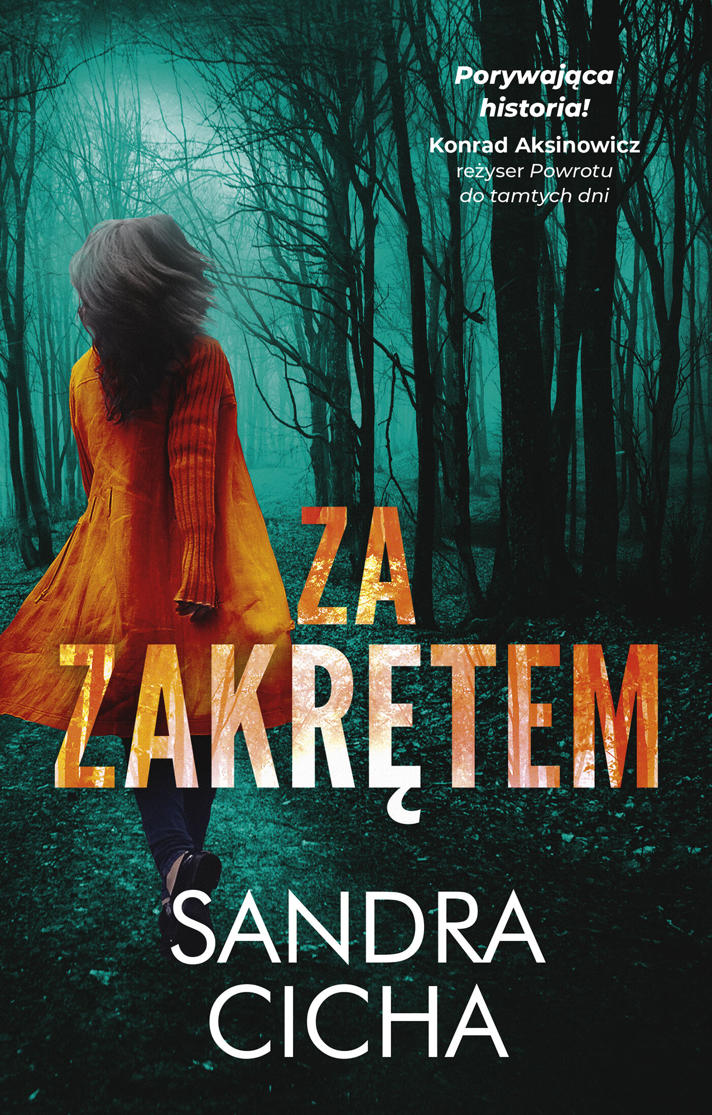 Za Zakrętem (e-book)