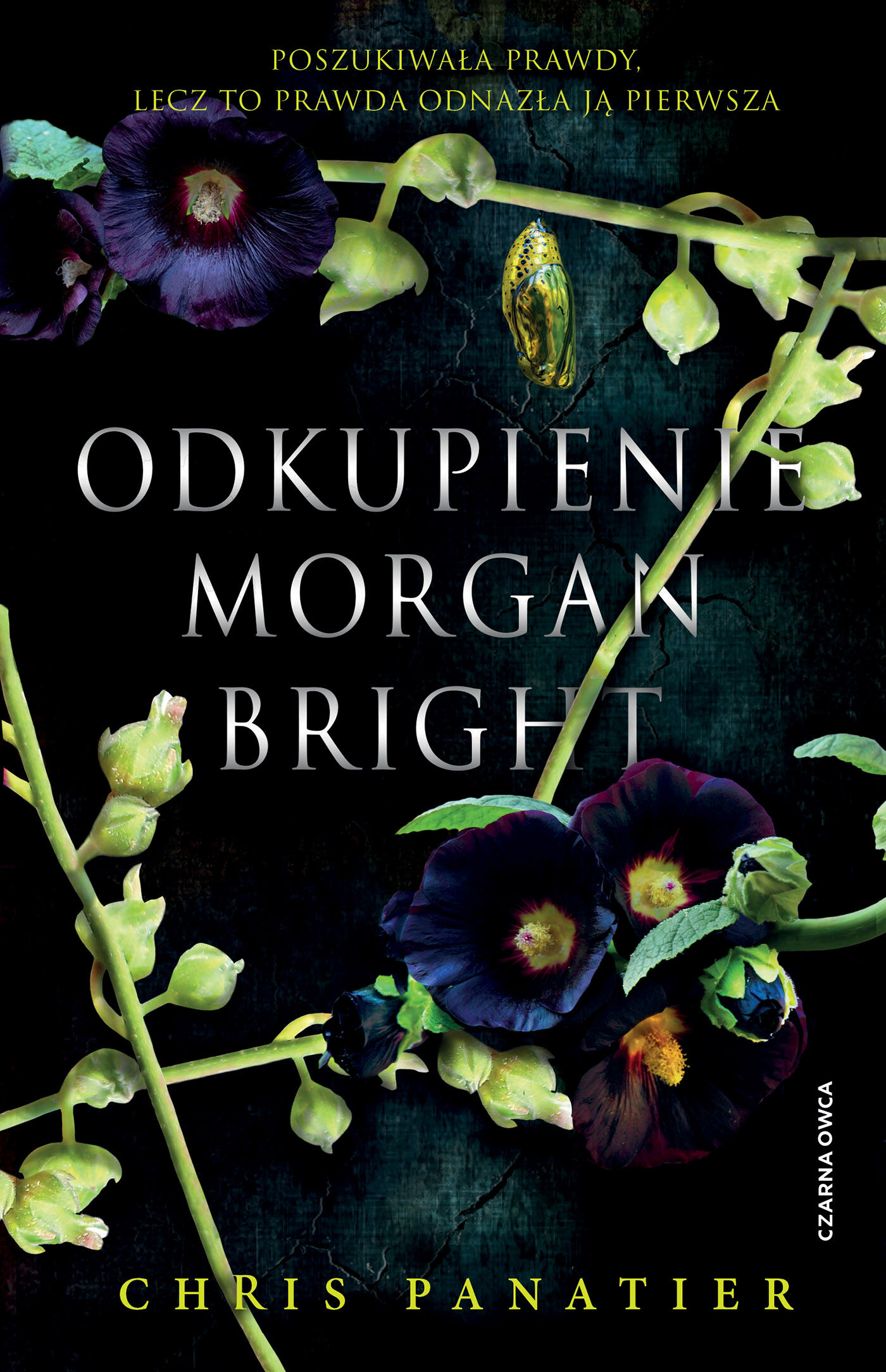 Odkupienie Morgan Bright (e-book)