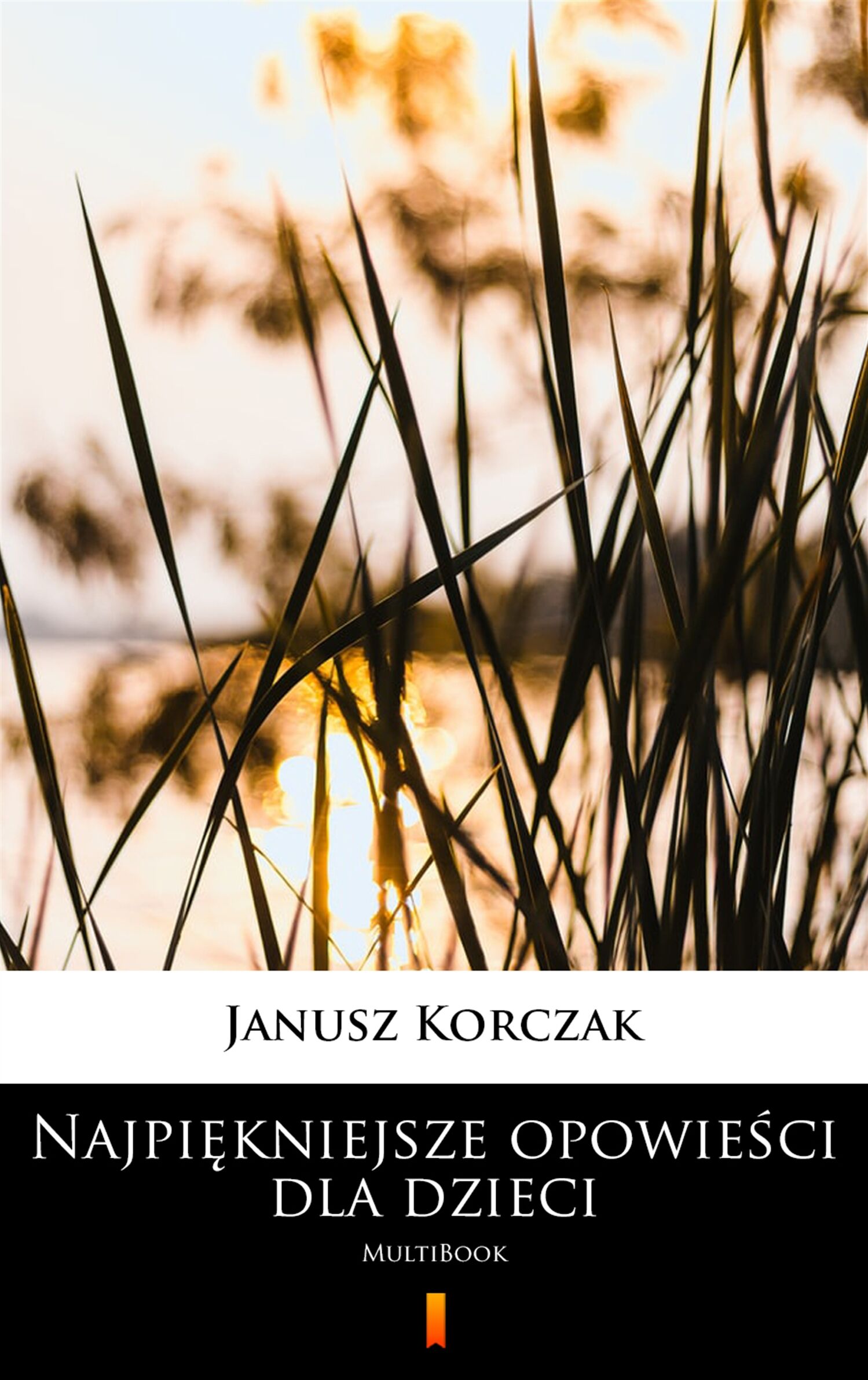 Najpiękniejsze opowieści dla dzieci (e-book)