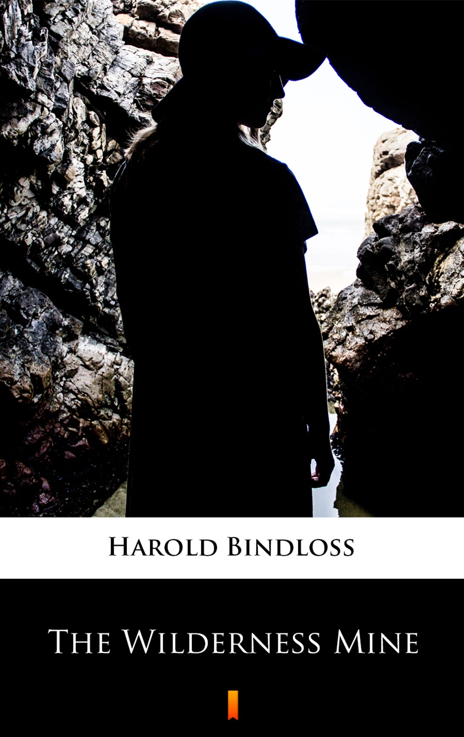 The Wilderness Mine (e-book)
