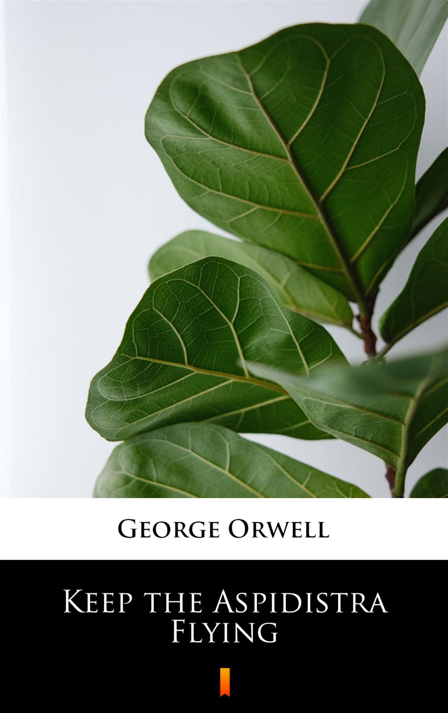 Keep the Aspidistra Flying (e-book)