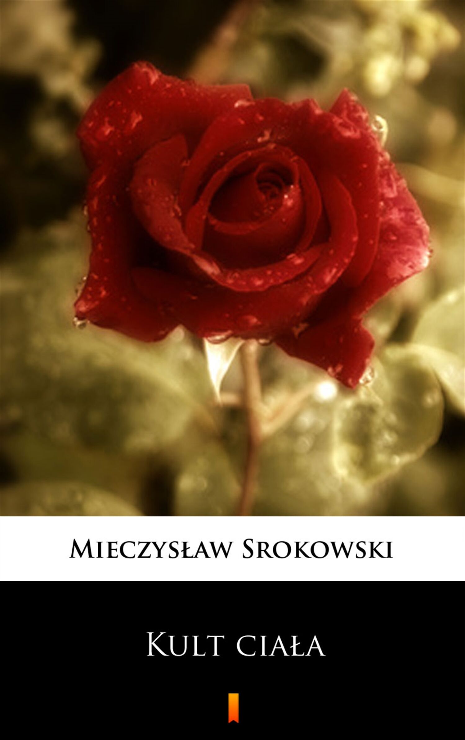 Kult ciała (e-book)