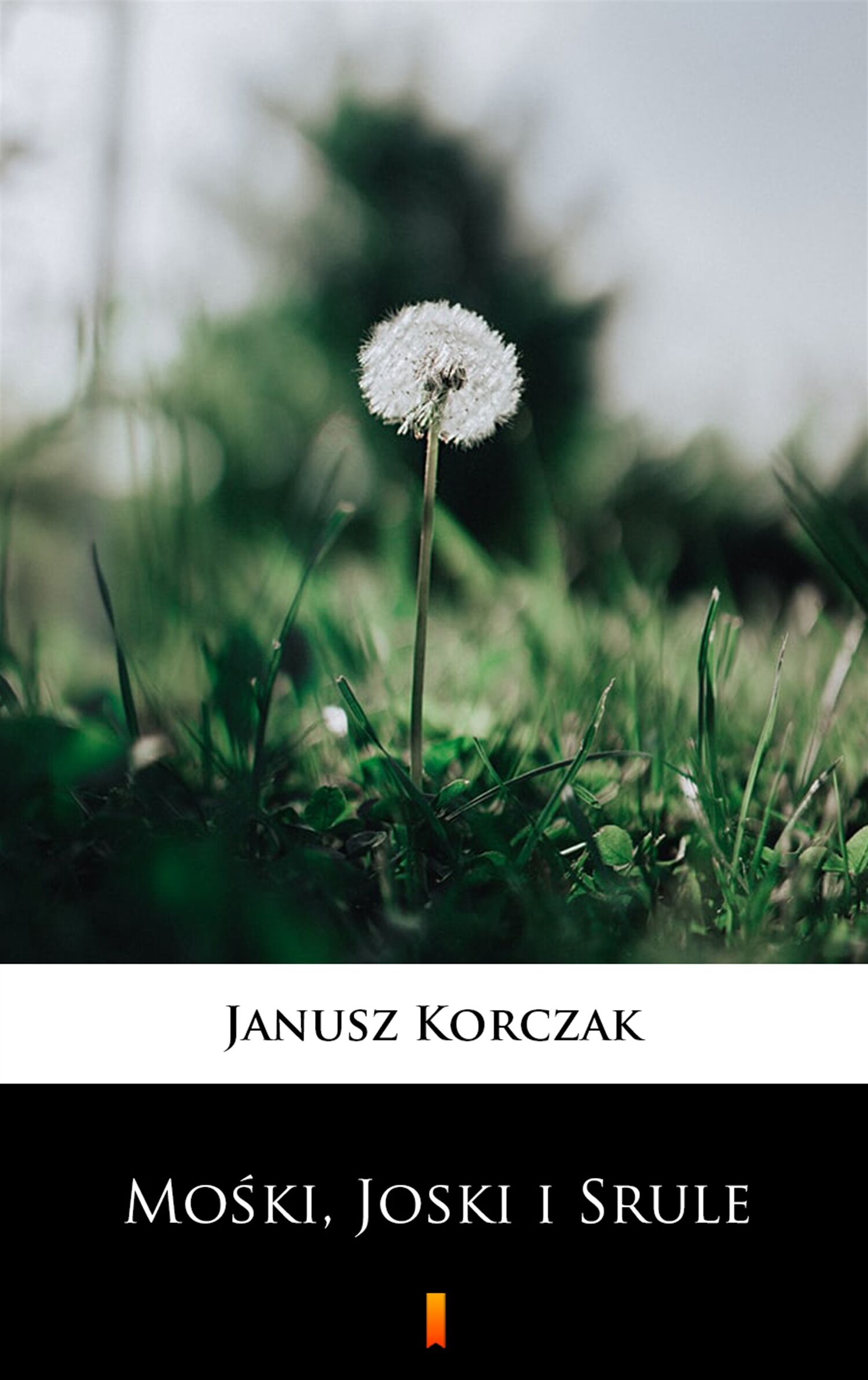 Mośki, Joski i Srule (e-book)