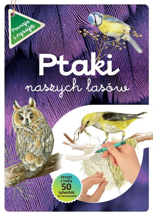Ptaki naszych lasów poznaję i rysuję