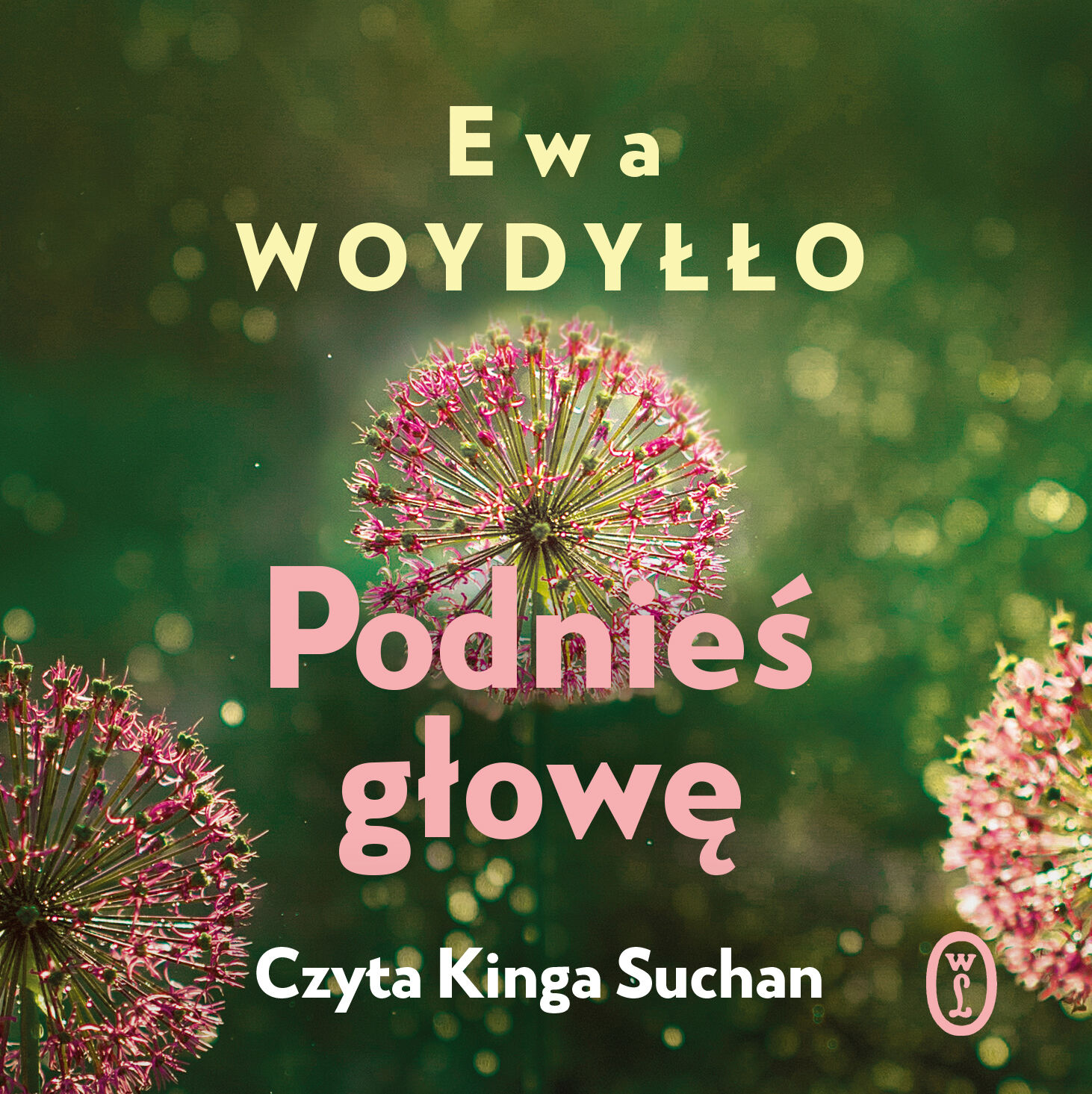 Podnieś głowę (audiobook MP3)