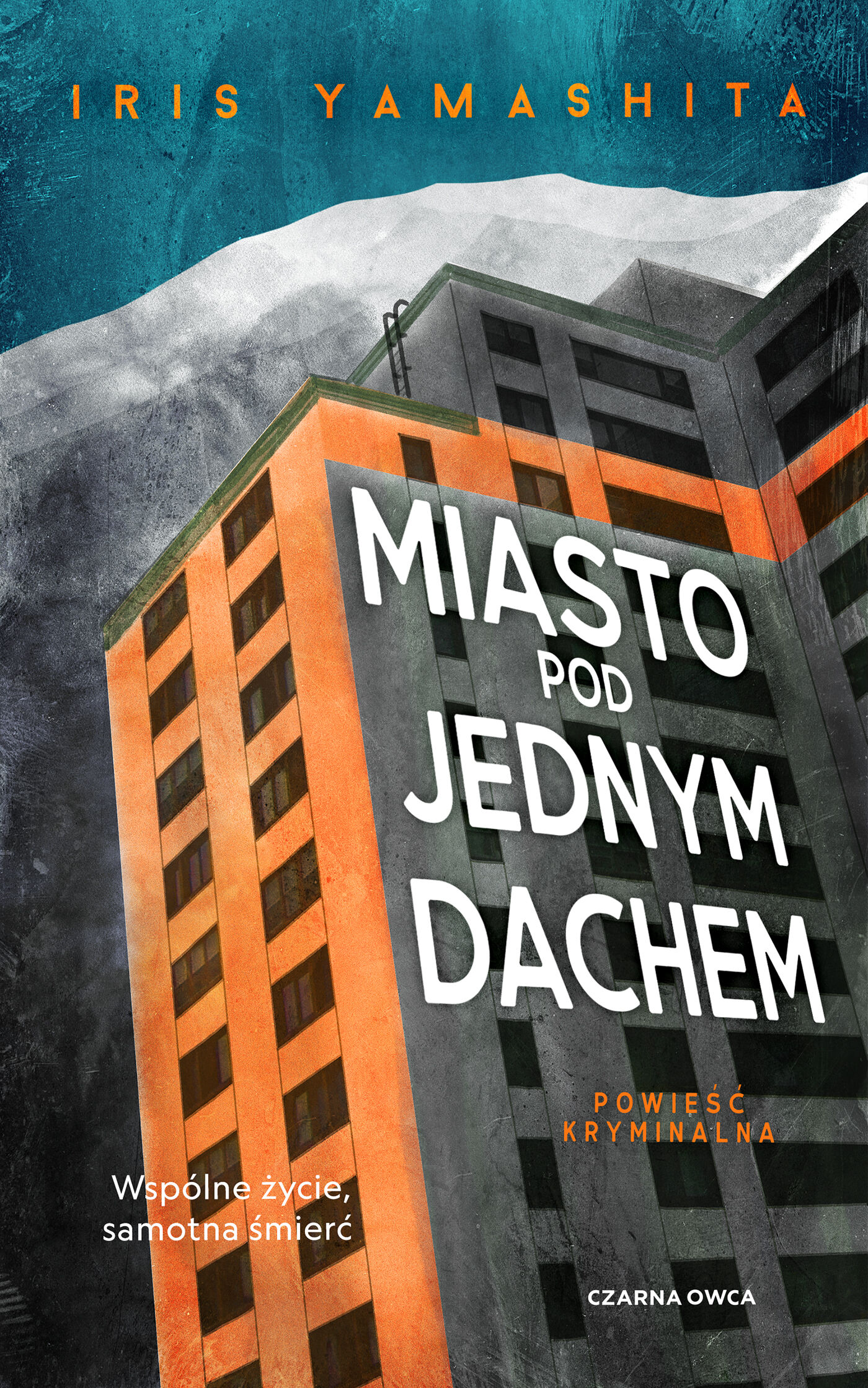 Miasto pod jednym dachem (e-book)