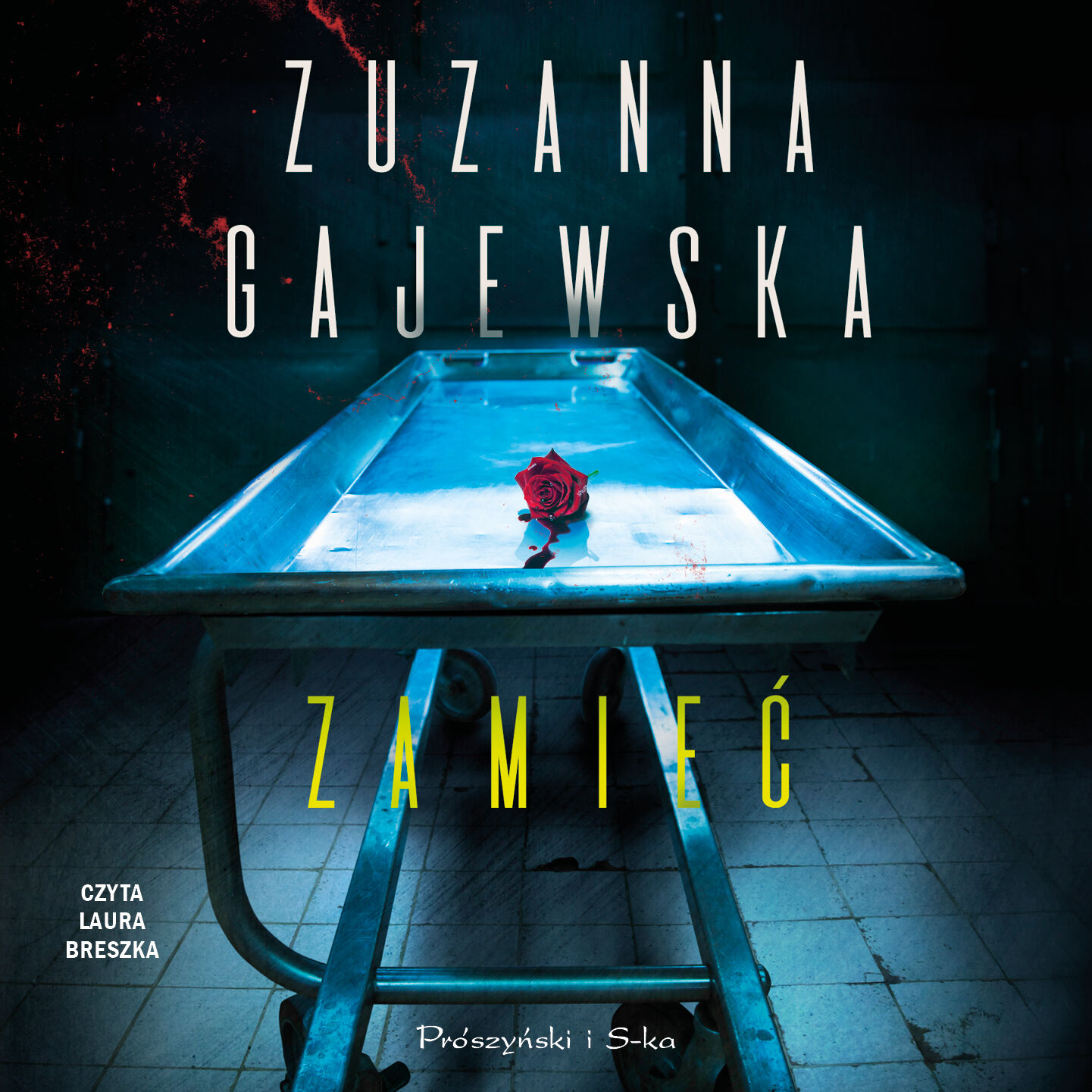 Zamieć (audiobook MP3)