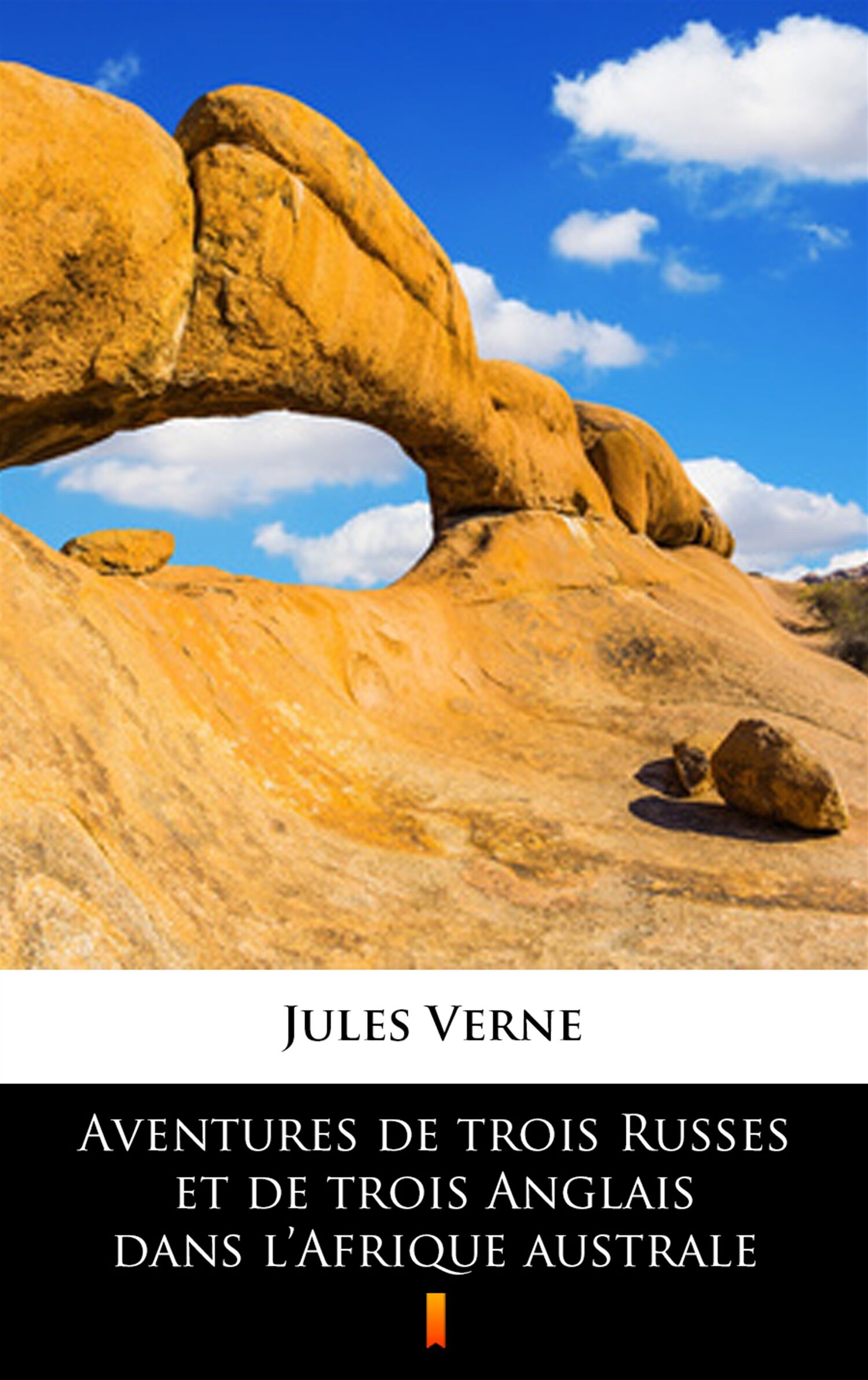 Aventures de trois Russes et de trois Anglais dans l’Afrique australe (e-book)