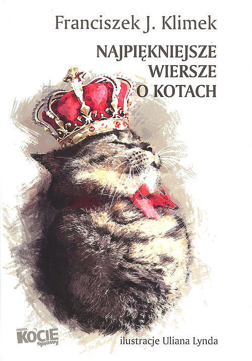 Najpiękniejsze wiersze o kotach